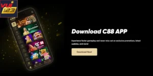 C88 Casino