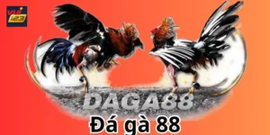 Đá gà 88